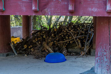 Tree branches underneath wooden porch.