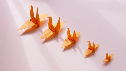 Orange origami crane on pink background, from small to big in a slash, growth concept