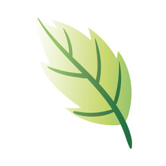 leaf plant hand draw style icon