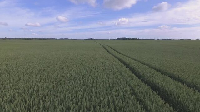 Waving Green Agricultural Fields On A Cloudy Summer Day. Aerial Low Track Left Shot