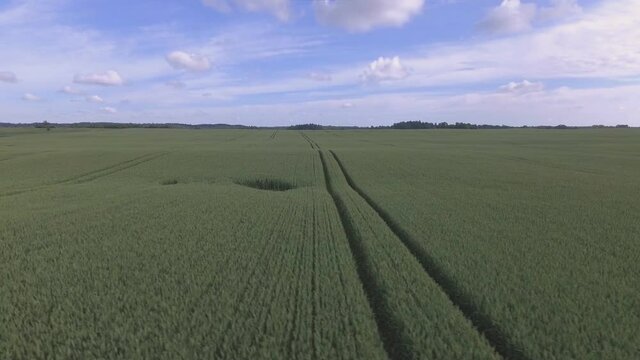 Aerial Shot Of Heavy Farm Machinery Tramlines In Green Agricultural Fields On A Cloudy Summer Day. Track Left and Lift Up