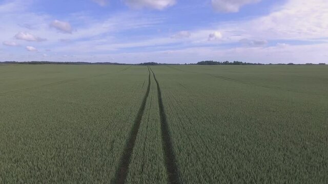 Heavy Farm Machinery Tramlines In Green Agricultural Fields On A Cloudy Summer Day. Aerial Low Dolly-Out