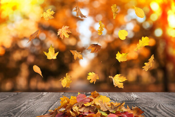 Autumn leaves falling on wooden surface outdoors
