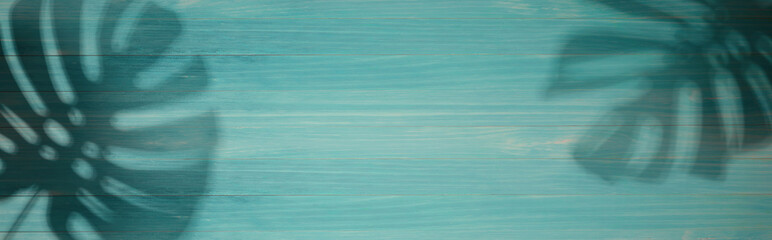 Shadow background of tropical monstera leaves - flat lay