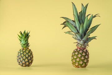 Pineapple fruit isolated on yellow background. Healthy lifestyle concept.