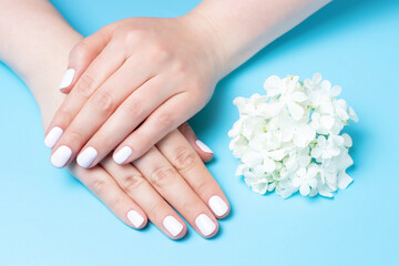 Obraz na płótnie Canvas Women's hands with white manicure and flowers on blue background