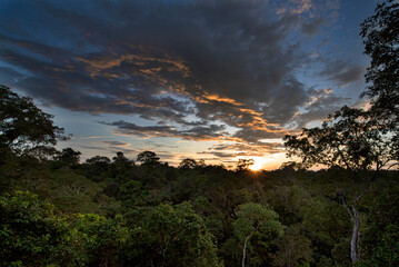 Sunset in Yasuní, Ecuador.