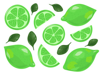 Set of fresh juicy lime. Slices of fruit. Vector illustration isolated on white background.