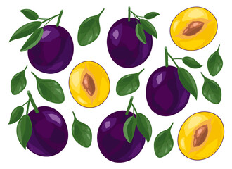 Obraz premium Set of fresh juicy plums. Slices of fruit. Vector illustration isolated on white background.