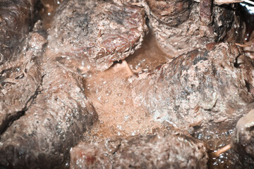 Beef roulades.