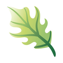 leaf palm hand draw style icon