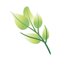 branch with leafs hand draw style icon