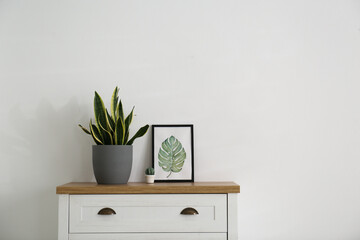 Chest of drawers and houseplant in stylish living room
