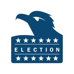 USA election design