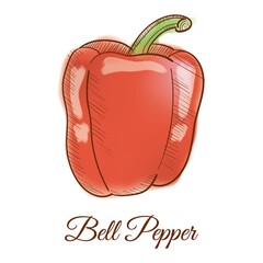 Bell pepper