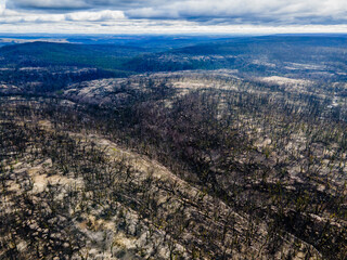 Damage to Australian countryside after wild bush fires 