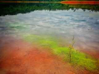 the beautiful view in the water