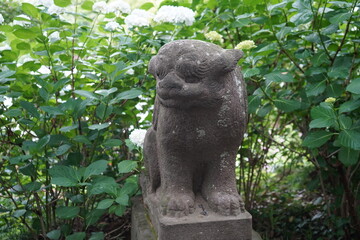 狛犬　神社　日本　神道　信仰