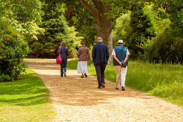 Two elderly men and two elderly women are having a leisurely stroll in a park. They walk in two groups on a dirt road that passes through a grassland with trees on each side.