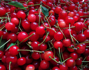 Cerises rouges