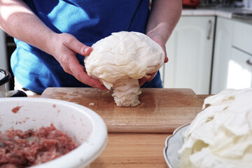 Preparing stuffed cabbage, Polish cuisine specialty.