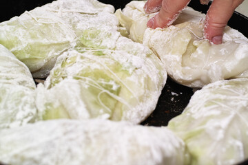 Preparing stuffed cabbage, Polish cuisine specialty.