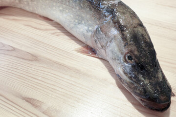 Fish pike.