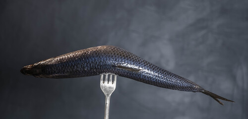 Herring fish strung on a fork on a gray background