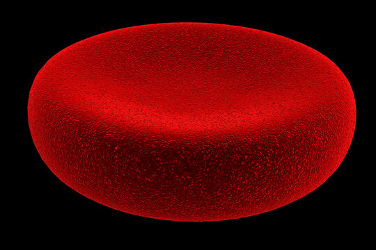 celula de sangre 02