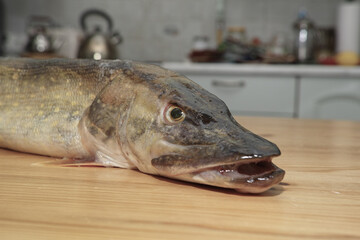 Fish pike.