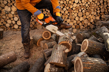 Chainsaw in action cutting wood. Man cutting wood with saw, dust and movements. Chainsaw. Close-up...