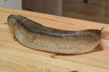 Fish pike.