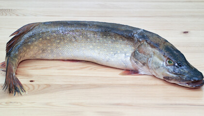 Fish pike.