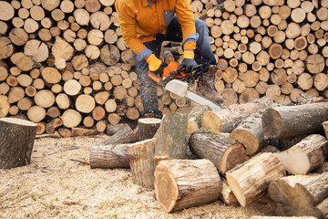 Chainsaw in action cutting wood. Man cutting wood with saw, dust and movements. Chainsaw. Close-up...