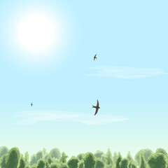 Summer time. Sunny day. Sun, clouds, bird, swift, sky, forest. Vector illustration.