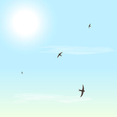 Fototapeta na wymiar Summer time. Sunny day. Sun, clouds, bird, swift, sky. Vector illustration.