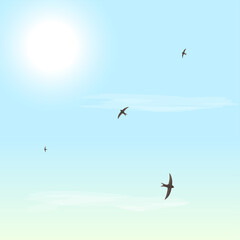 Summer time. Sunny day. Sun, clouds, bird, swift, sky. Vector illustration.