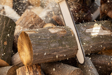 Chainsaw in action cutting wood. Man cutting wood with saw, dust and movements. Chainsaw. Close-up of woodcutter sawing chain saw in motion, sawdust fly to sides.