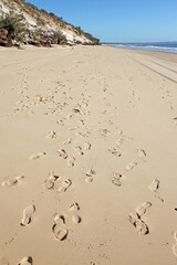 Human and dog foot prints in the sand on a beach on a sunny day