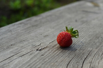 Close up shot of strawberries with strawberry planting background