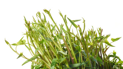 Morning glory has many nutrients that are beneficial to the body.