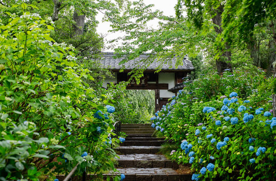 資福寺 Images Browse 191 Stock Photos Vectors And Video Adobe Stock