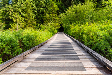 Fototapeta premium wooden road between green bushes stretching forward