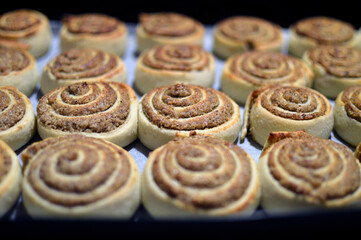 baked peaces of walnut strudel 