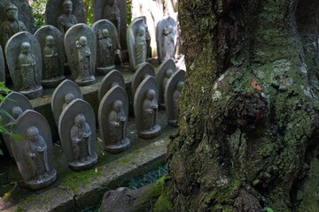 地蔵　神社　木漏れ日　御供物　信仰　日本　観光