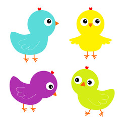 Colorful bird set icon. Face head. Chicken chick. Cute cartoon funny kawaii baby character. Happy Easter. Friends forever. Greeting card. Flat design. Isolated. White background.