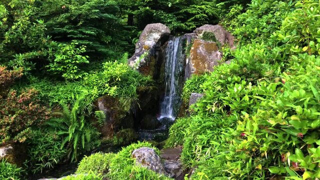 Beautiful waterfall in Japanese style garden 