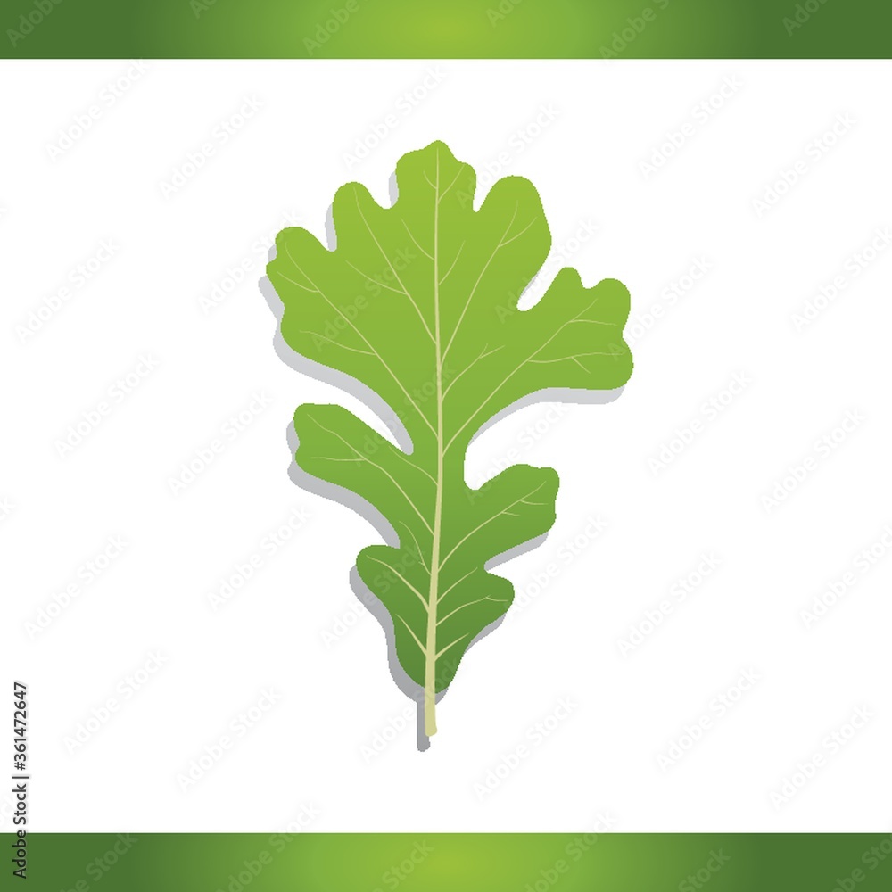 Sticker bur oak leaf