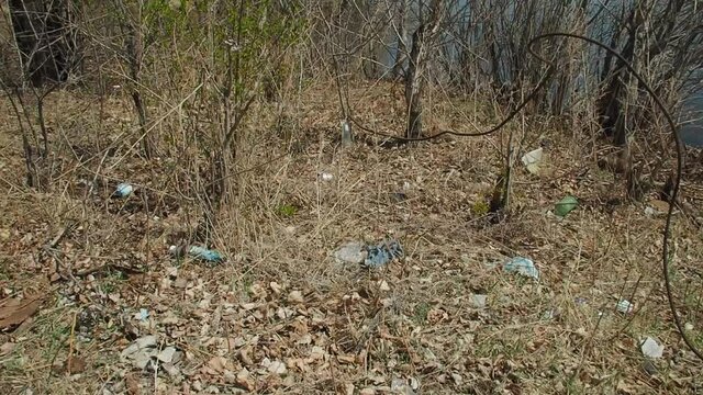 Garbage from plastic and glass bottles, cans lies on the dry grass, in the bushes near the forest, in the spring.