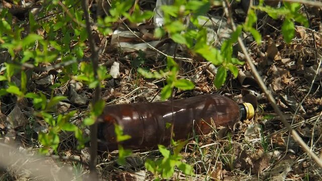 Garbage from plastic and glass bottles, cans lies on the dry grass, in the bushes near the forest, in the spring.